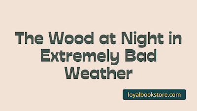 The Wood at Night in Extremely Bad Weather